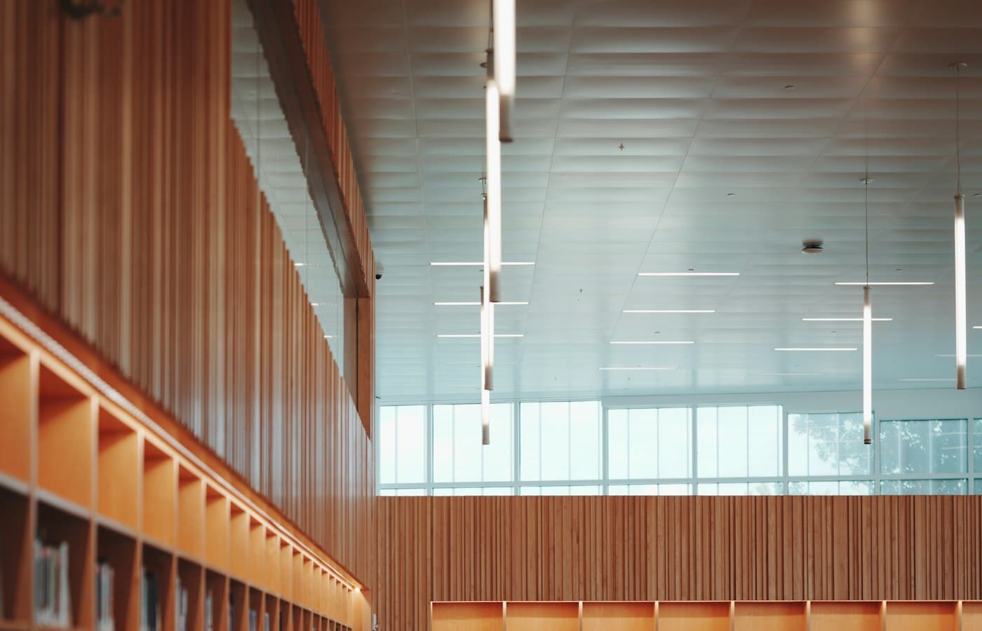 Une salle d’étude contemporaine, rayonnages en bois clair et grande verrière